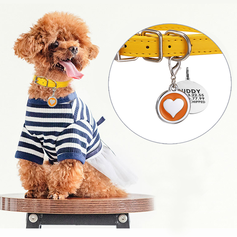 Pet Supplies Login - 애완 동물 고양이 개 가죽 칼라