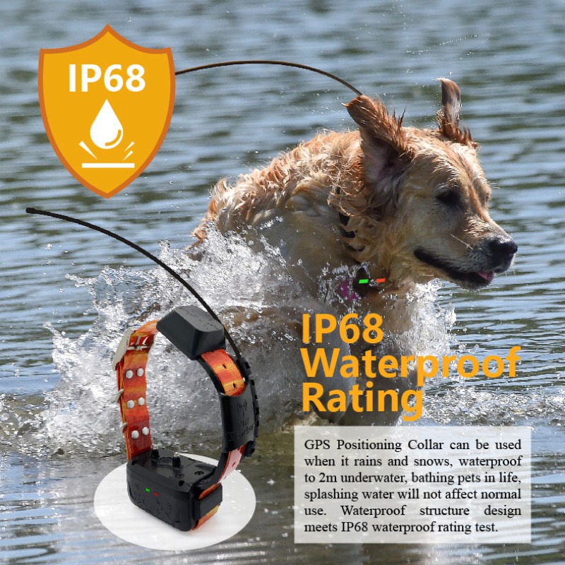 Pet Supplies Login - 기업용 개 GPS 펜스 관리자: 맞춤