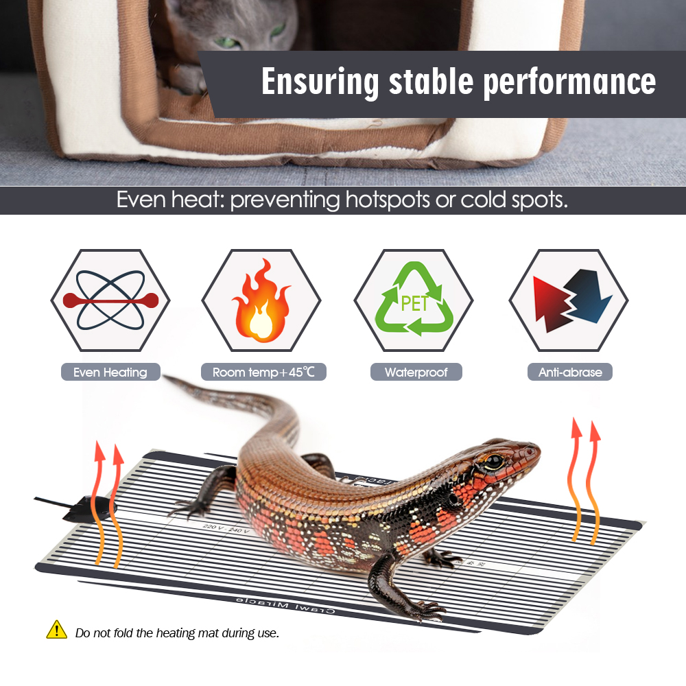 온도 조절식 온도 조절기가 있는 그래핀 파충류 난방 매 - Reptile Heating Mat 리뷰 및 가격