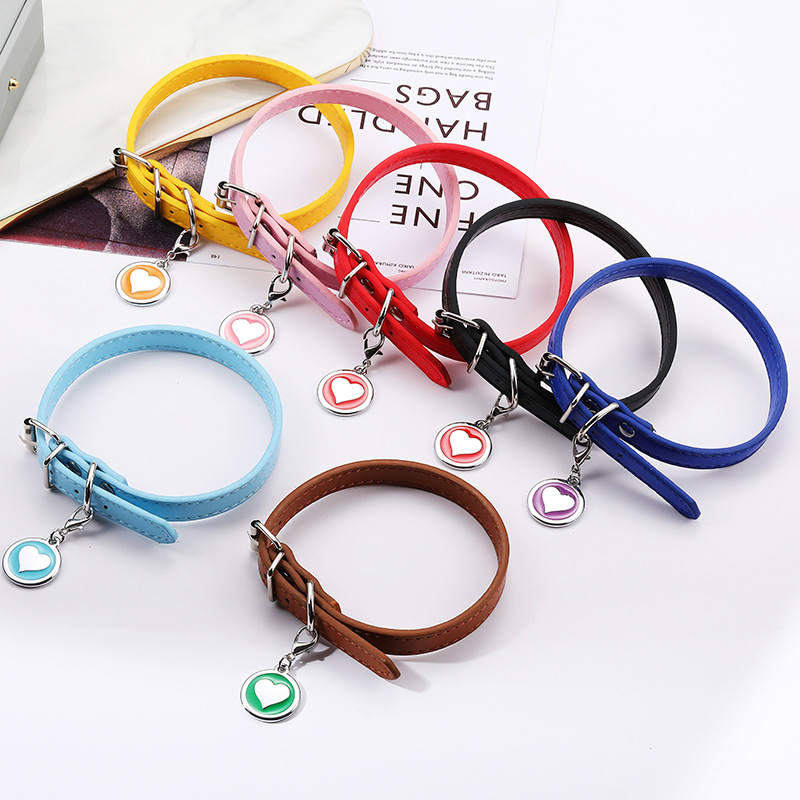 애완 동물 고양이 개 가죽 칼라 스테인레스 스틸 금속  - Pet Supplies Login 리뷰 및 가격