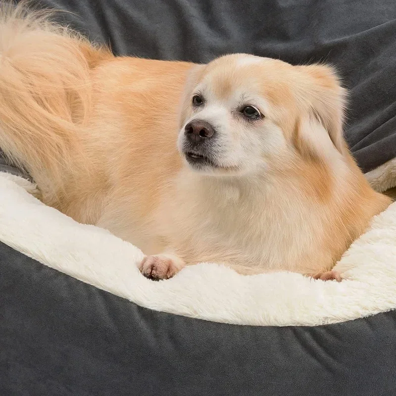 반폐쇄형 개 사육장, 소형 및 중형 애완동물 수면 패드 - Calming Dog Bed 리뷰 및 가격