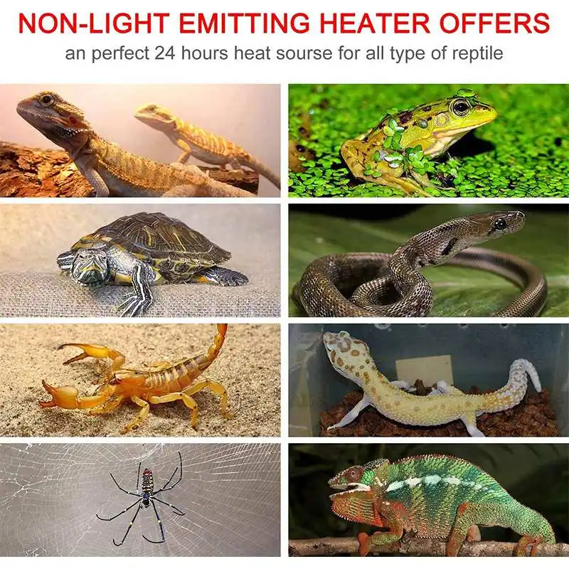 5W-20W 110V 가열 패드, 애완동물 테라리움 파 - Reptile Heating Mat 리뷰 및 가격