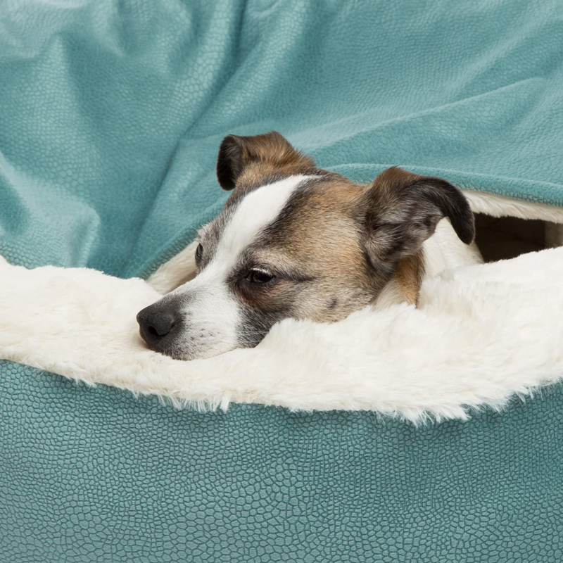 Benepaw 정형외과 강아지 침대, 후드 담요, 겨울 - Calming Dog Bed 리뷰 및 가격