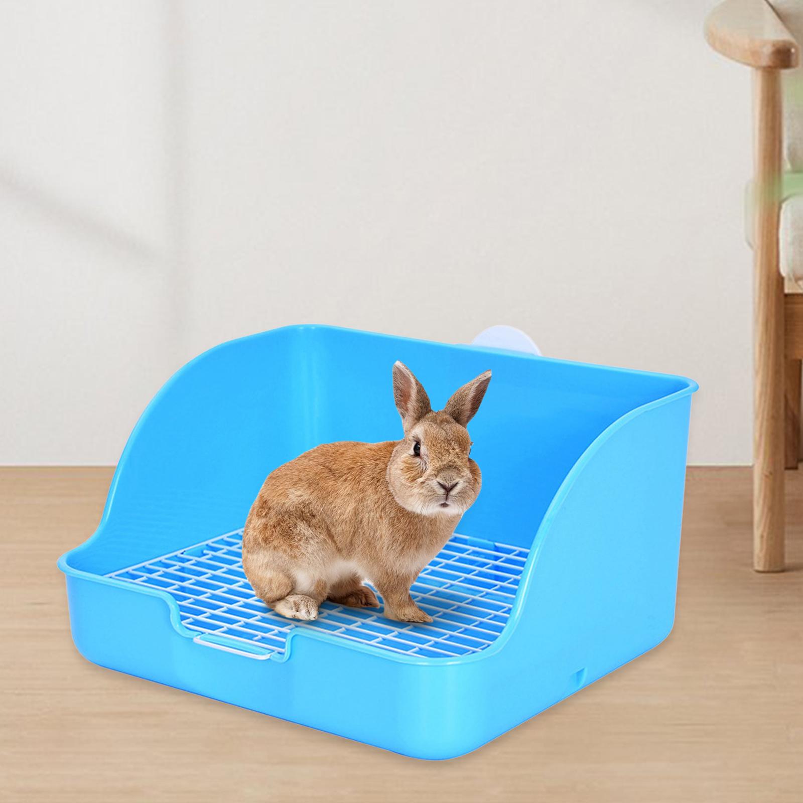직사각형 토끼 쓰레기 상자, 애완 동물 변기, 작은 동 - Pet Supplies Outlet 리뷰 및 가격