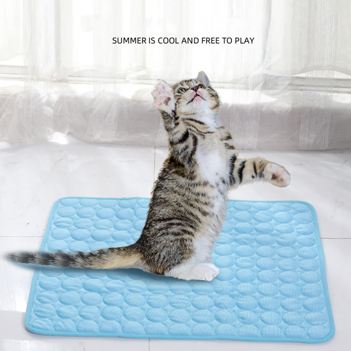 반려동물용 아이스 매트 여름 고양이 강아지 소파 침대  - Calming Dog Bed 리뷰 및 가격