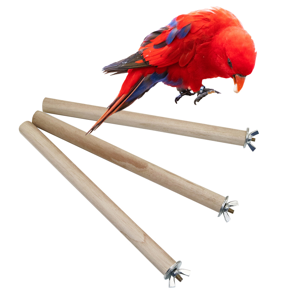 1 Pc 앵무새 비둘기 애완 동물 새 로그 행거 조류  - Pet Supplies Login 리뷰 및 가격