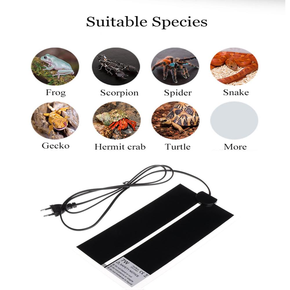AC110V~240V 파충류 인큐베이터 웜 매트 5-4 - Reptile Heating Mat 리뷰 및 가격